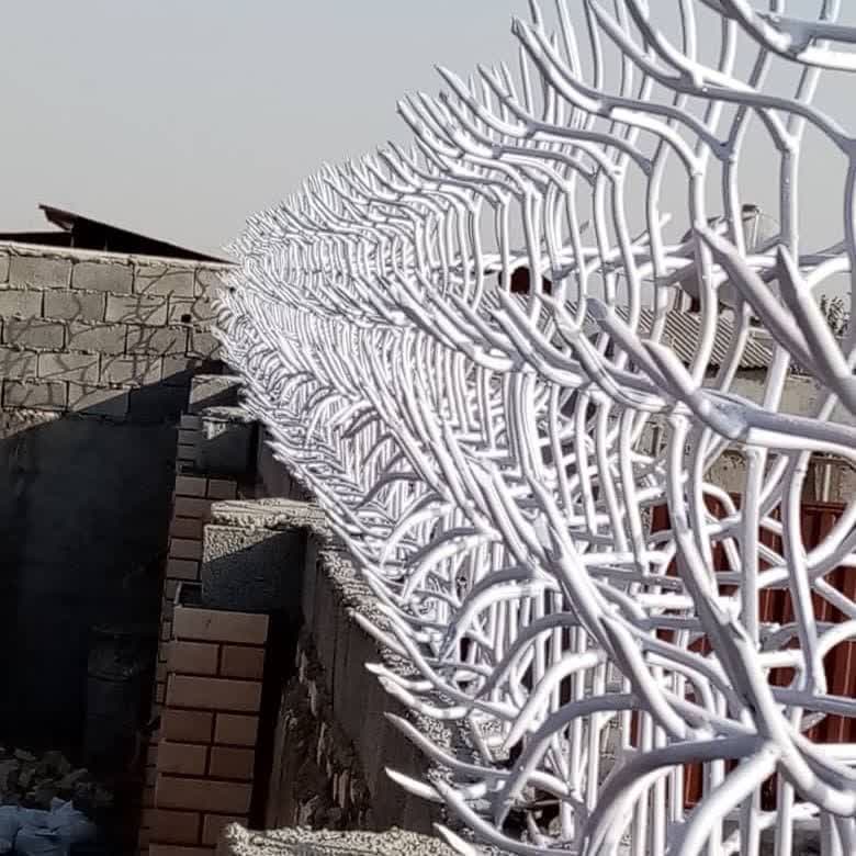 شاخ گوزنی حسینی