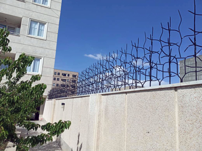 شاخ گوزنی تهران